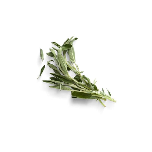 Fresh Sage per bunch at zucchini